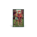 Flying Dream 1: Signed Cassette