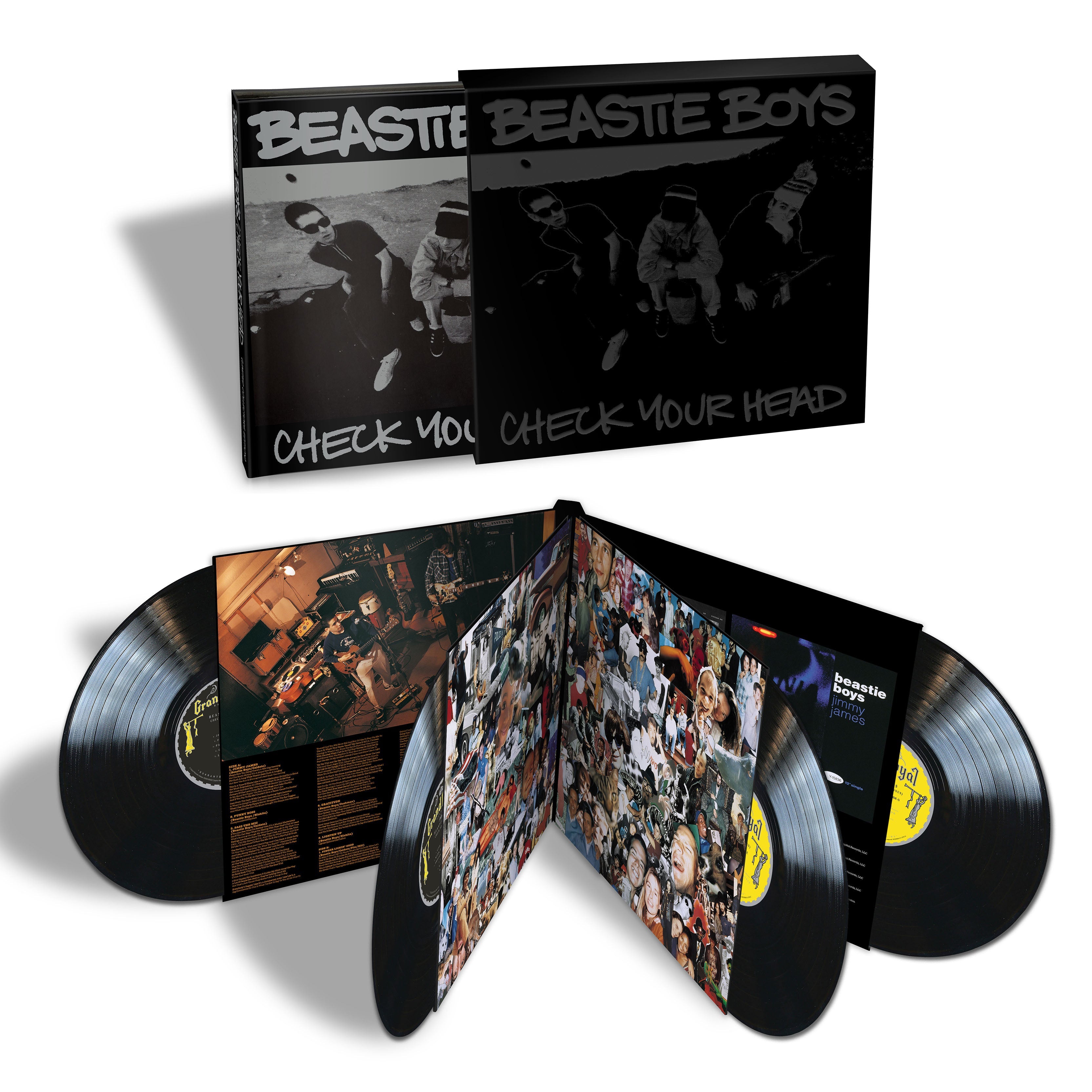Check Your Head: Vinyl 4LP