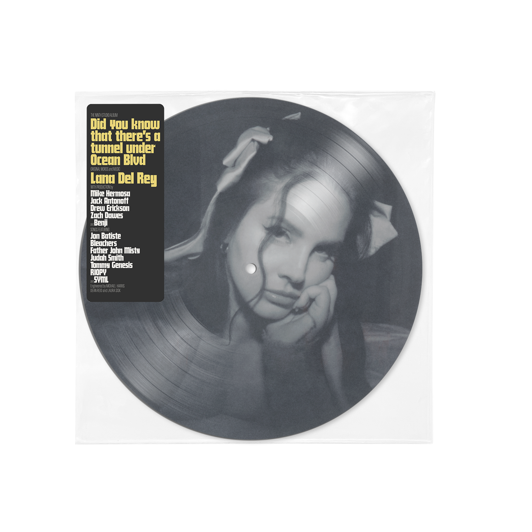 Did you know that there's a tunnel under Ocean Blvd: Picture Disc Vinyl 2LP