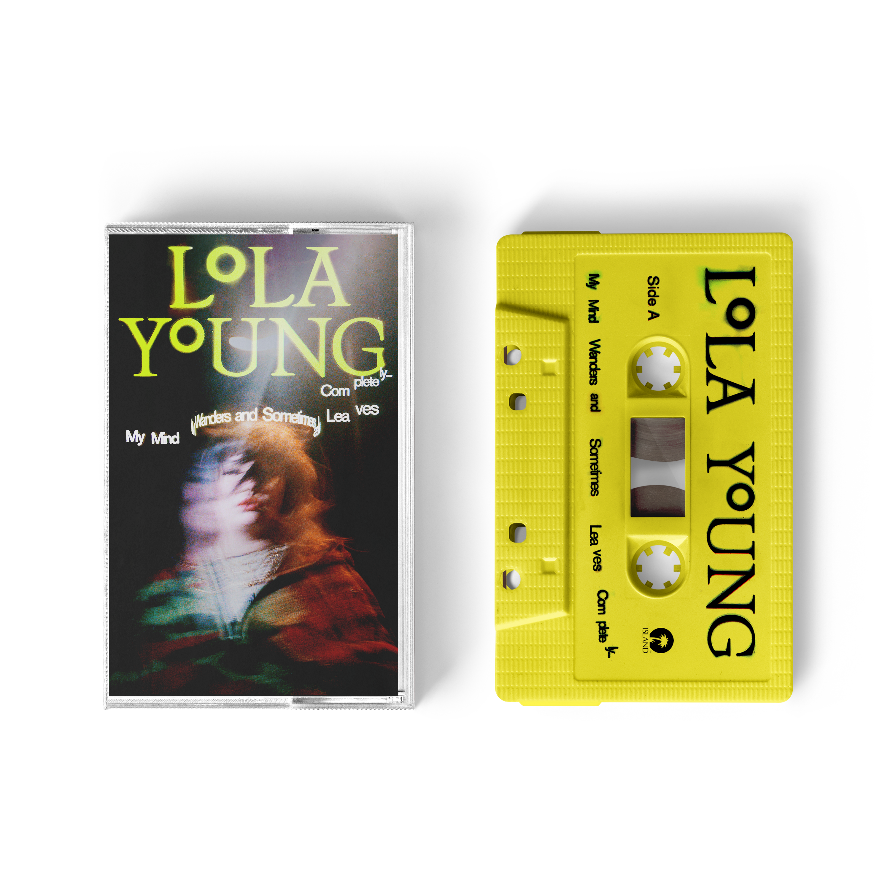 My Mind Wanders and Sometimes Leaves Completely: Standard Cassette
