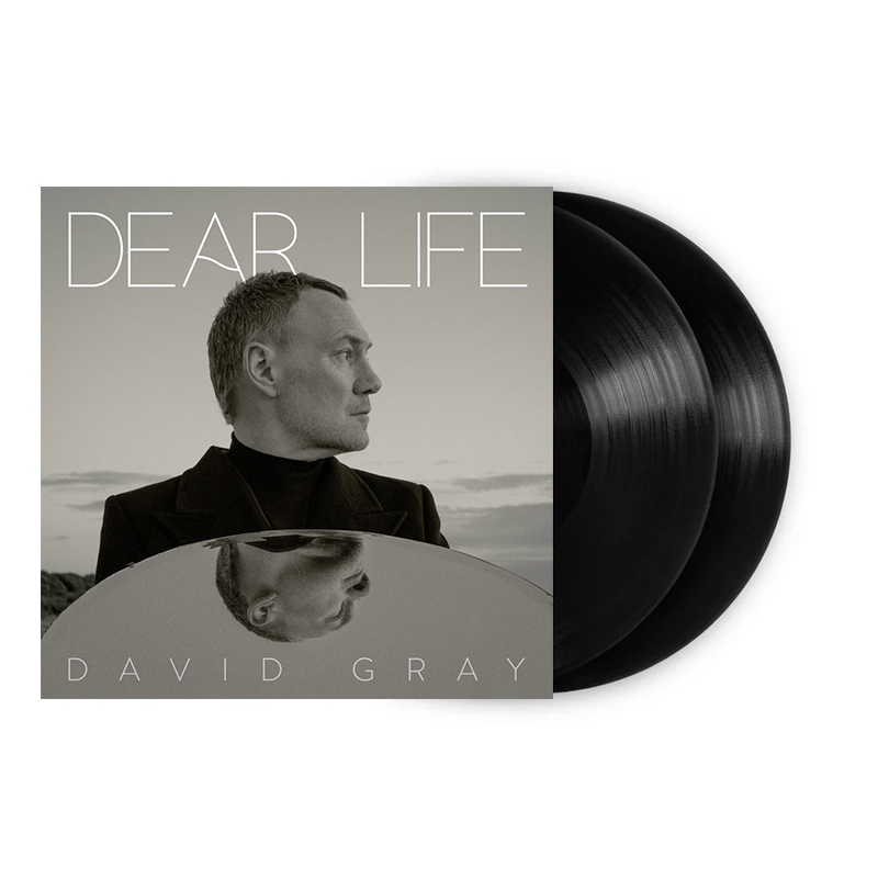 Dear Life: Vinyl 2LP