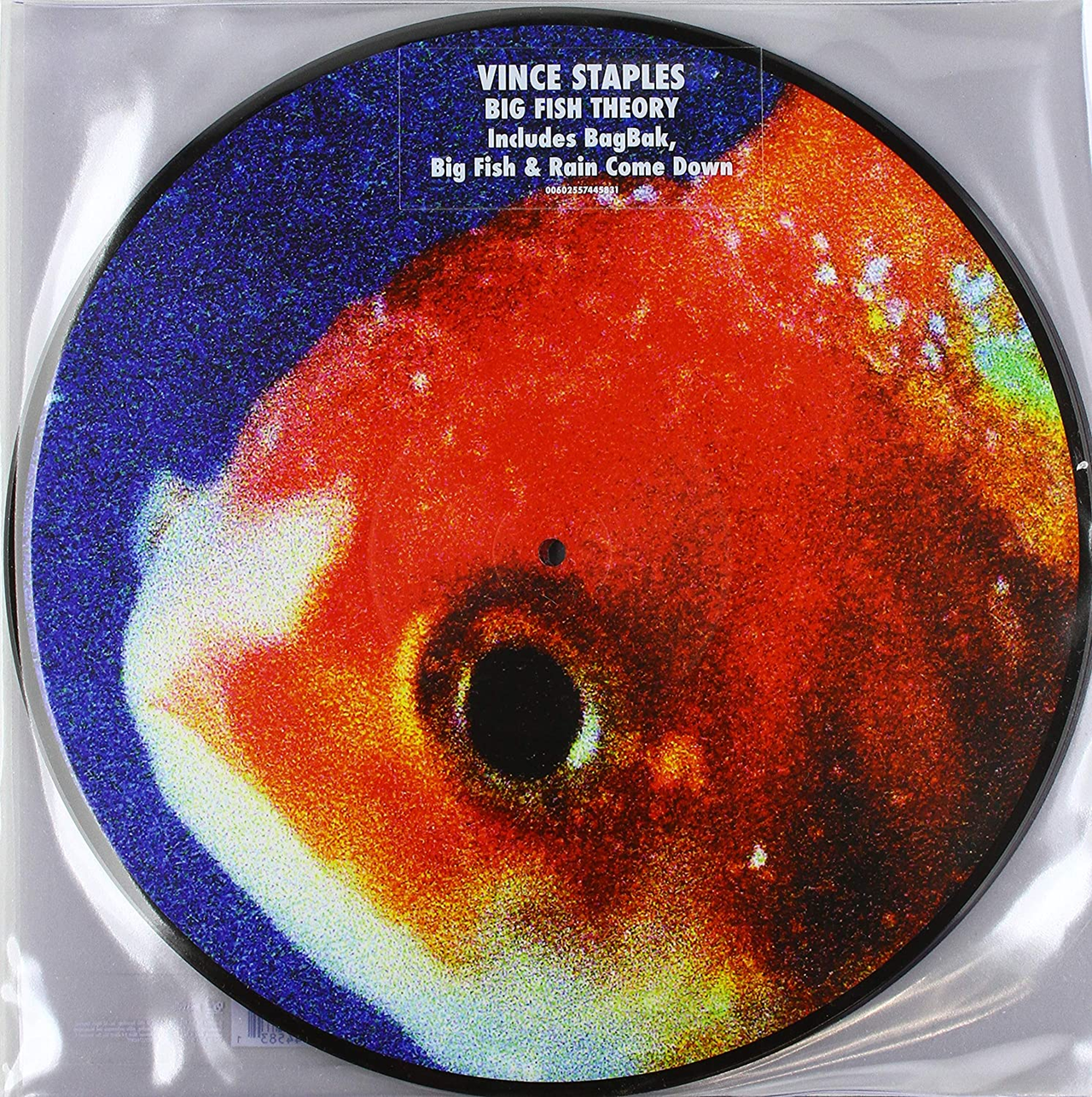 Big Fish Theory: Picture Disc Vinyl LP