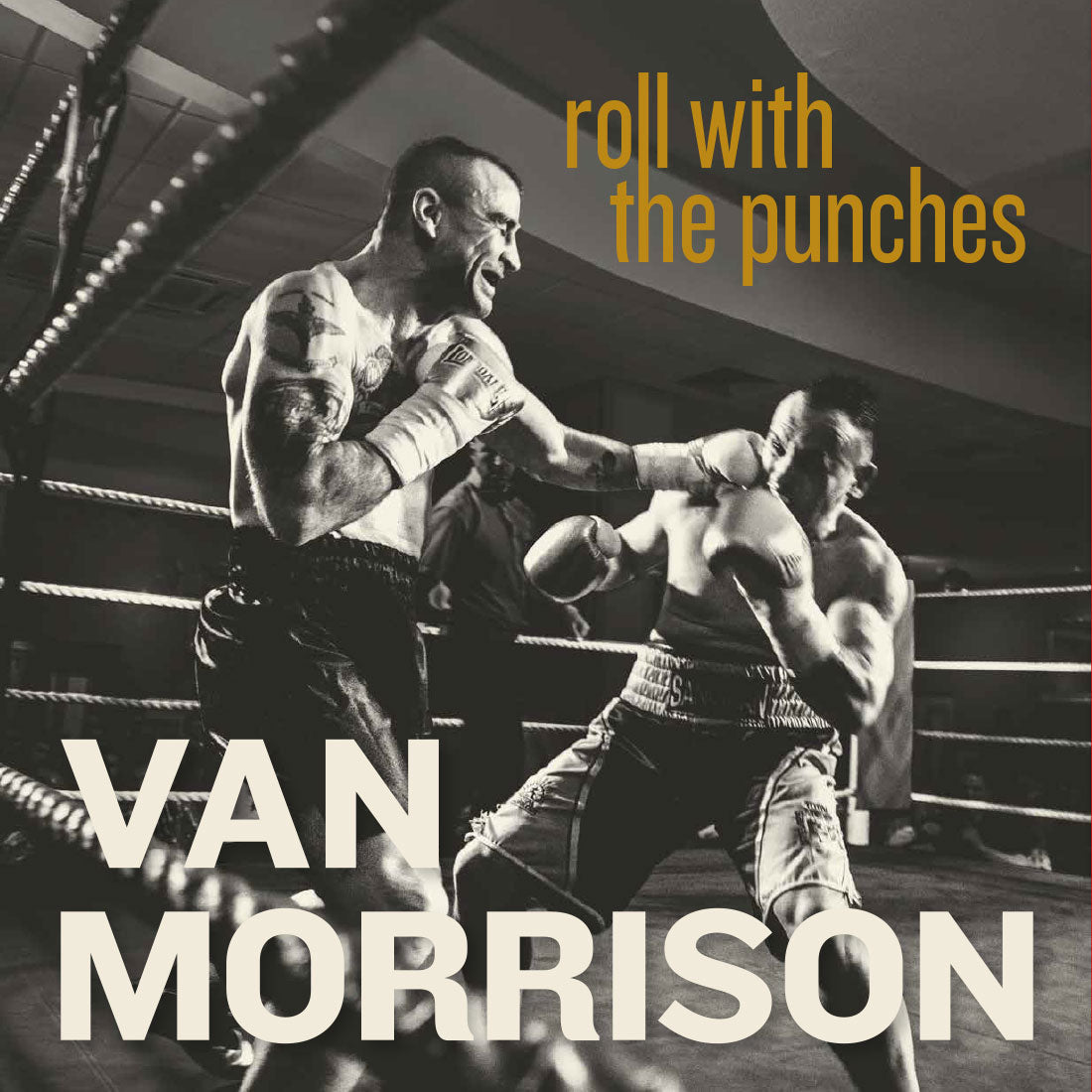 Roll With The Punches: CD