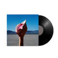 Wonderful Wonderful: Vinyl LP