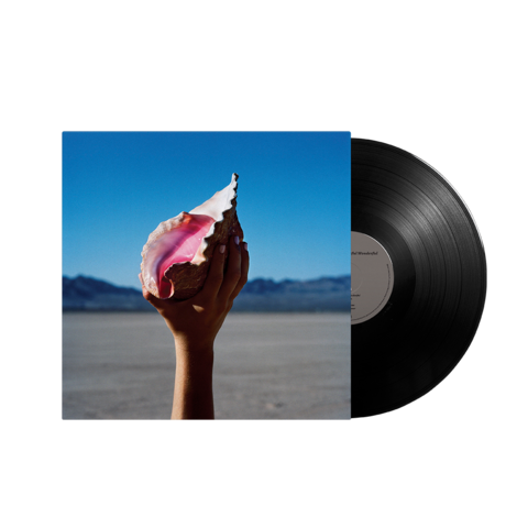 Wonderful Wonderful: Vinyl LP
