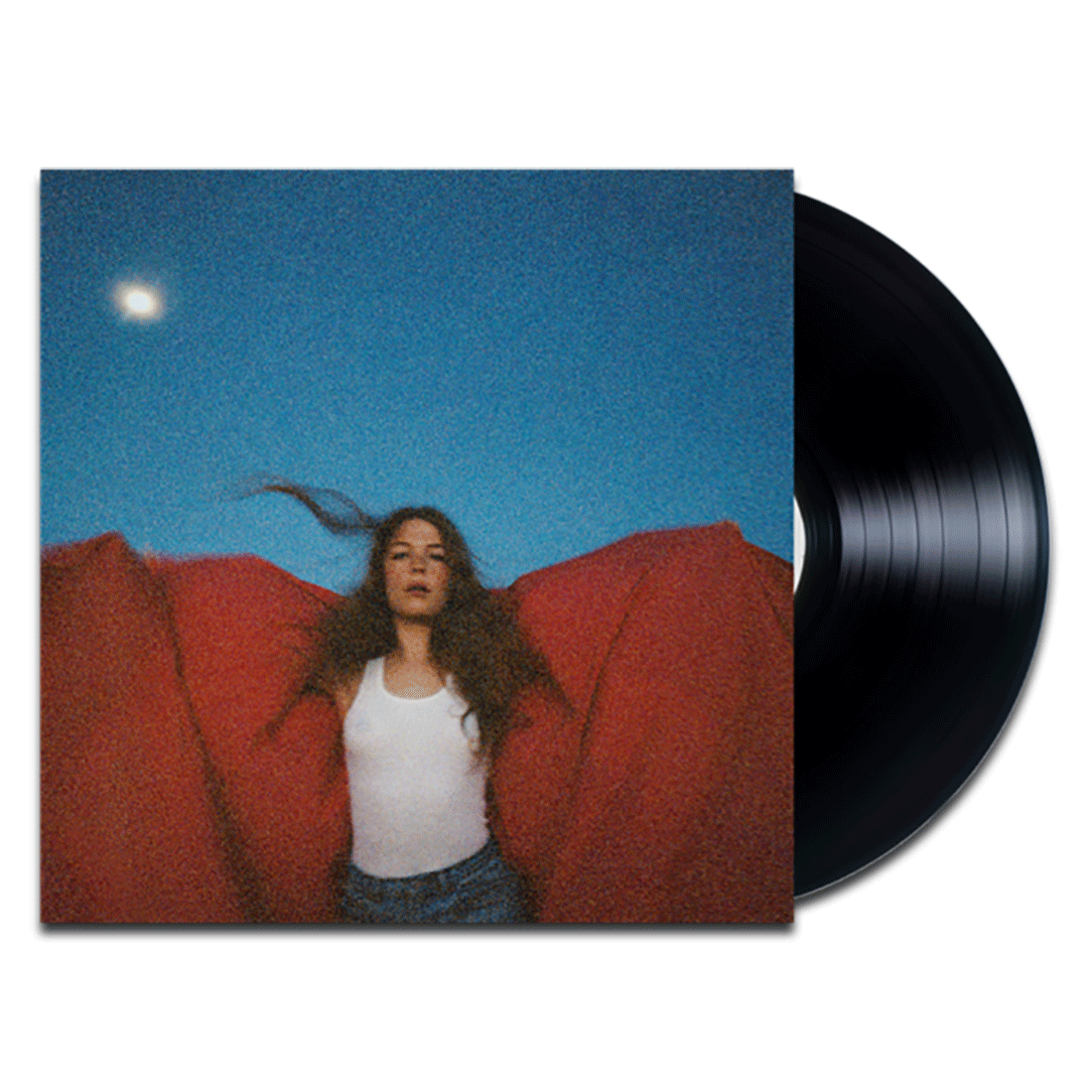 Heard It In A Past Life Vinyl