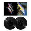 Evolve: Vinyl 2LP