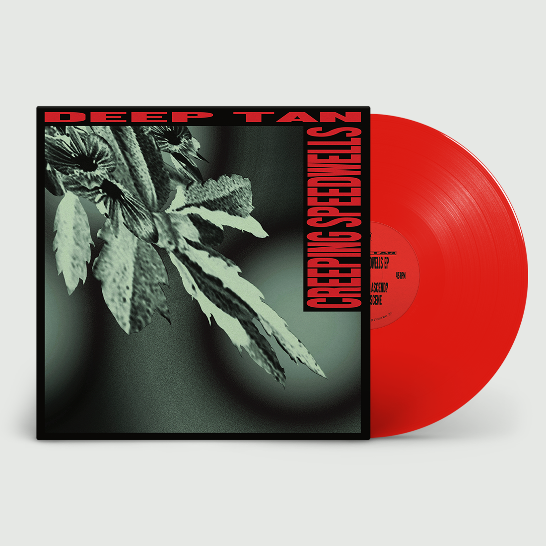 Creeping Speedwells EP: Signed Exclusive Red Vinyl LP