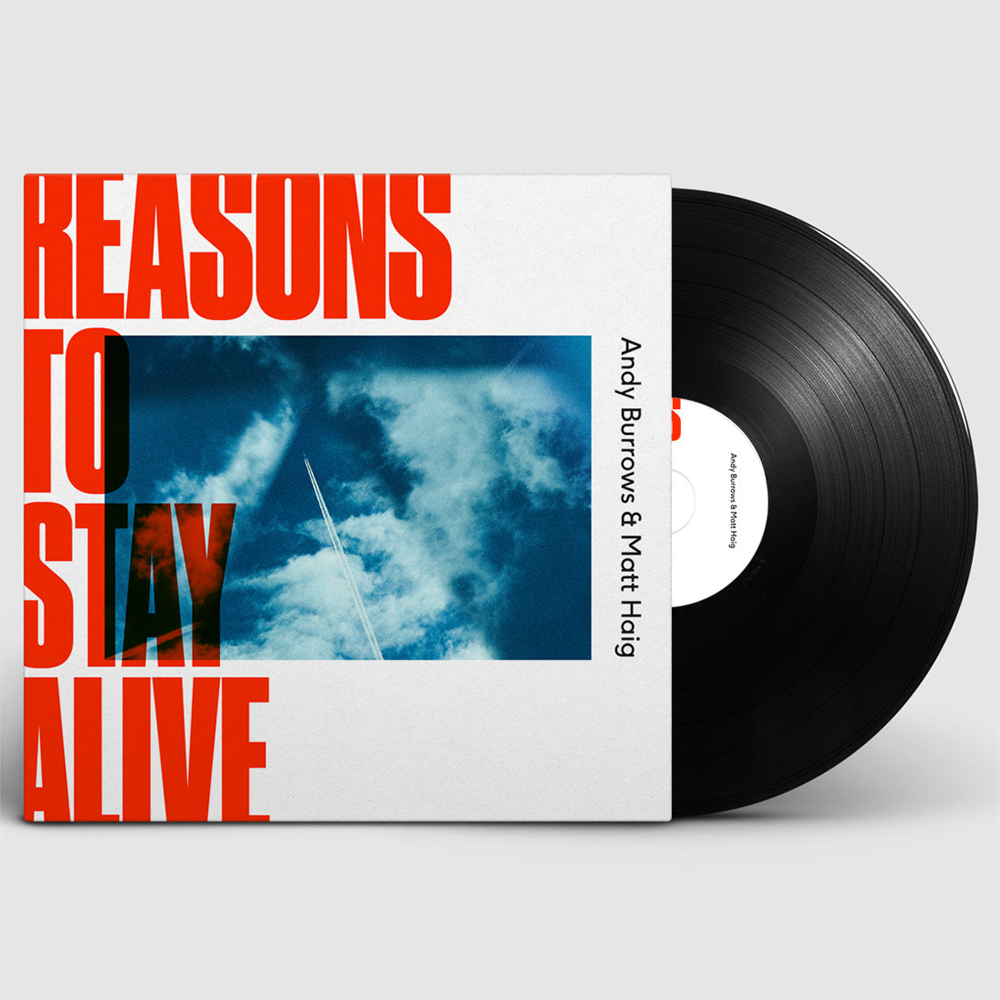 Reasons To Stay Alive: Vinyl LP