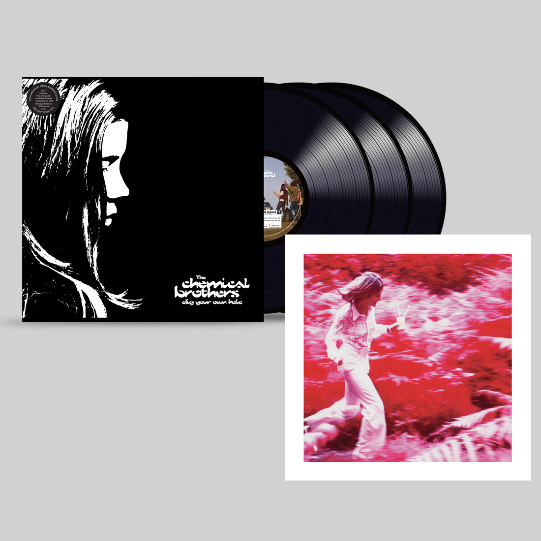Dig Your Own Hole: Limited Edition Triple Vinyl LP (with 5 new bonus tracks)