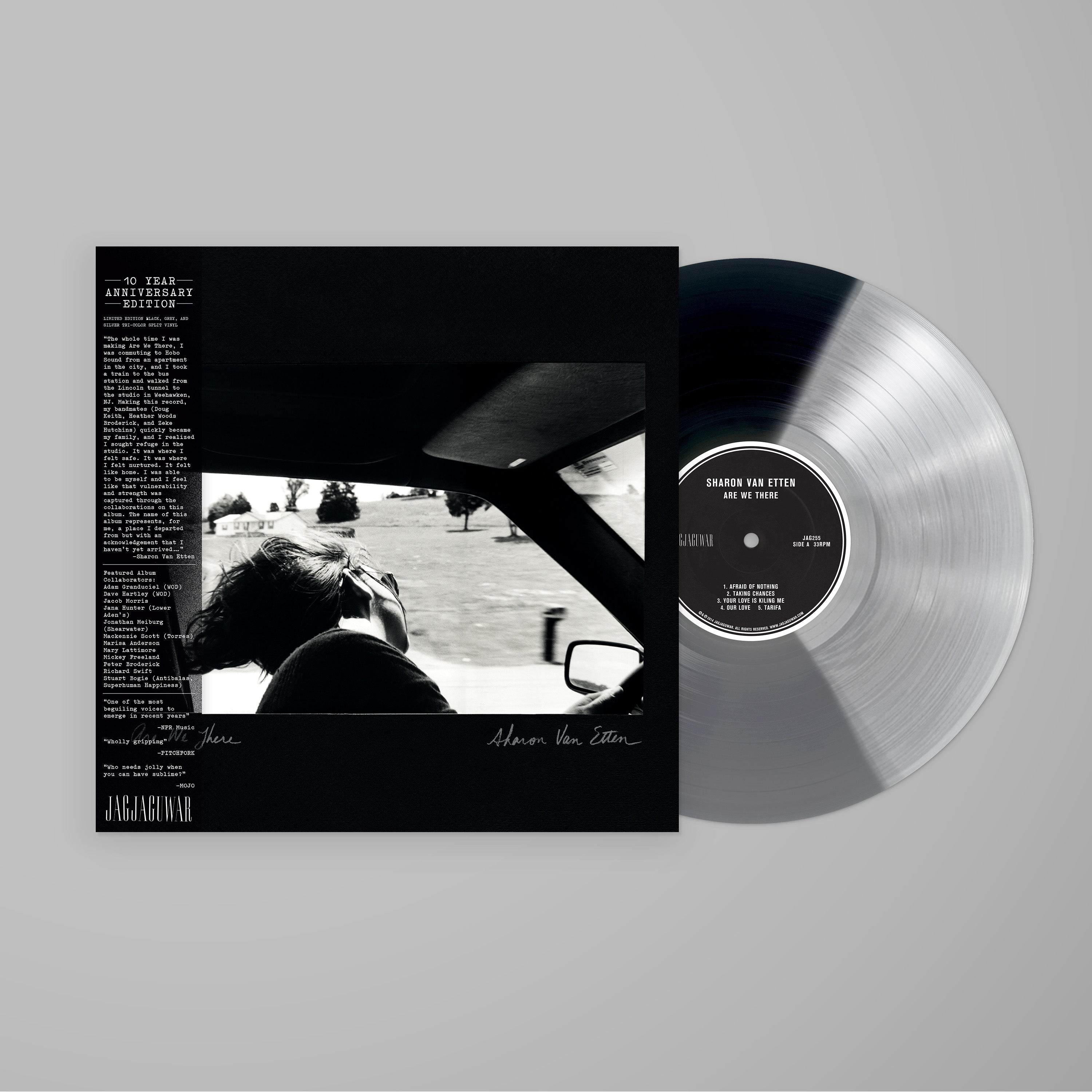Are We There (10th Anniversary): Limited Black, Grey and Silver Tri-Color Split Vinyl LP