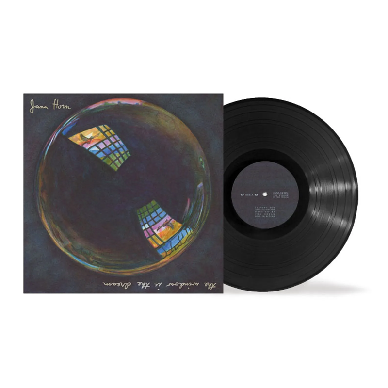 The Window Is The Dream: Vinyl LP
