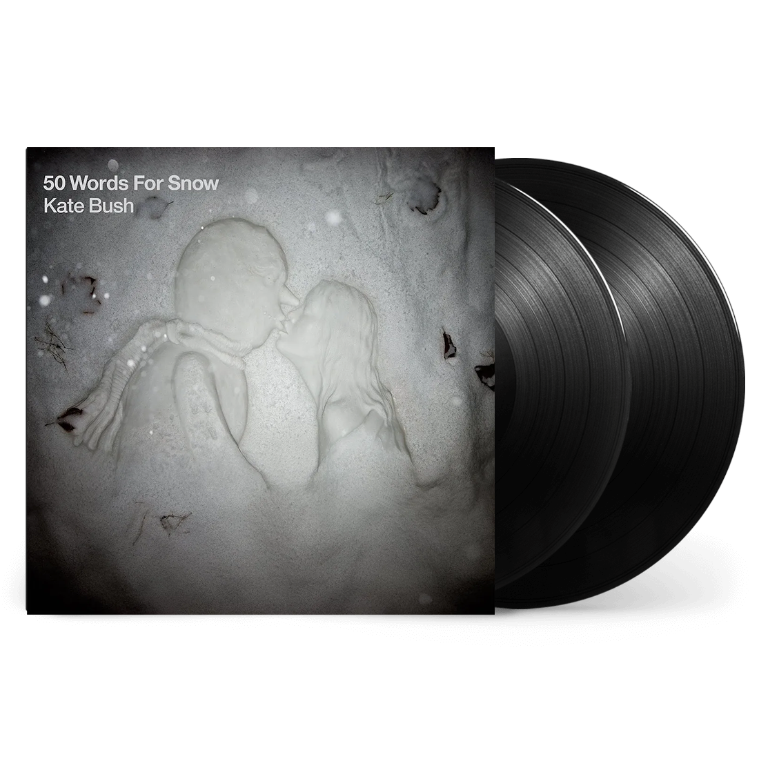 50 Words for Snow (Polar Edition): Vinyl 2LP