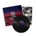 Space Heavy: Vinyl LP