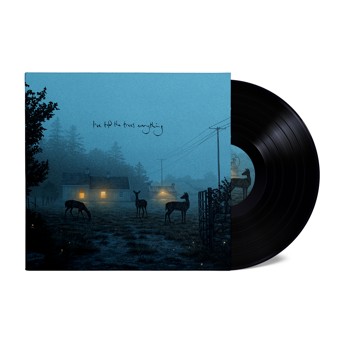 I've told the trees everything: Midnight Black Vinyl