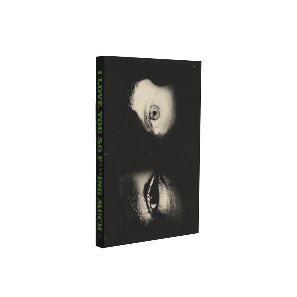 I Love You So F***ing Much: Dave Cassette