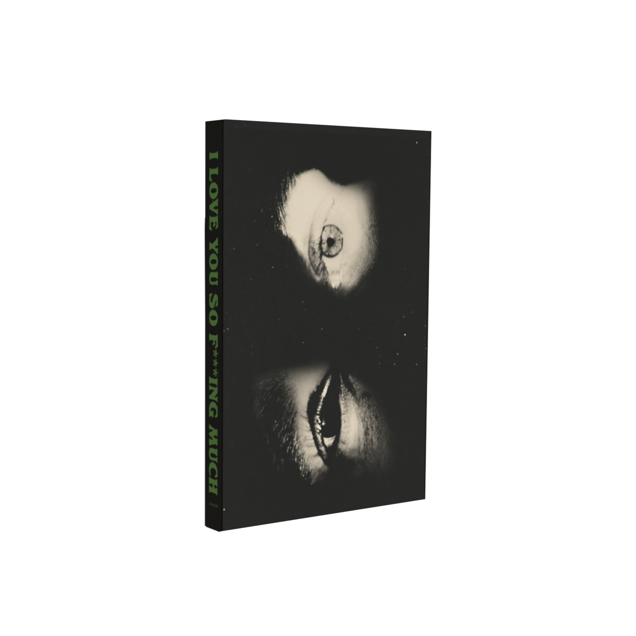 I Love You So F***ing Much: Dave Cassette