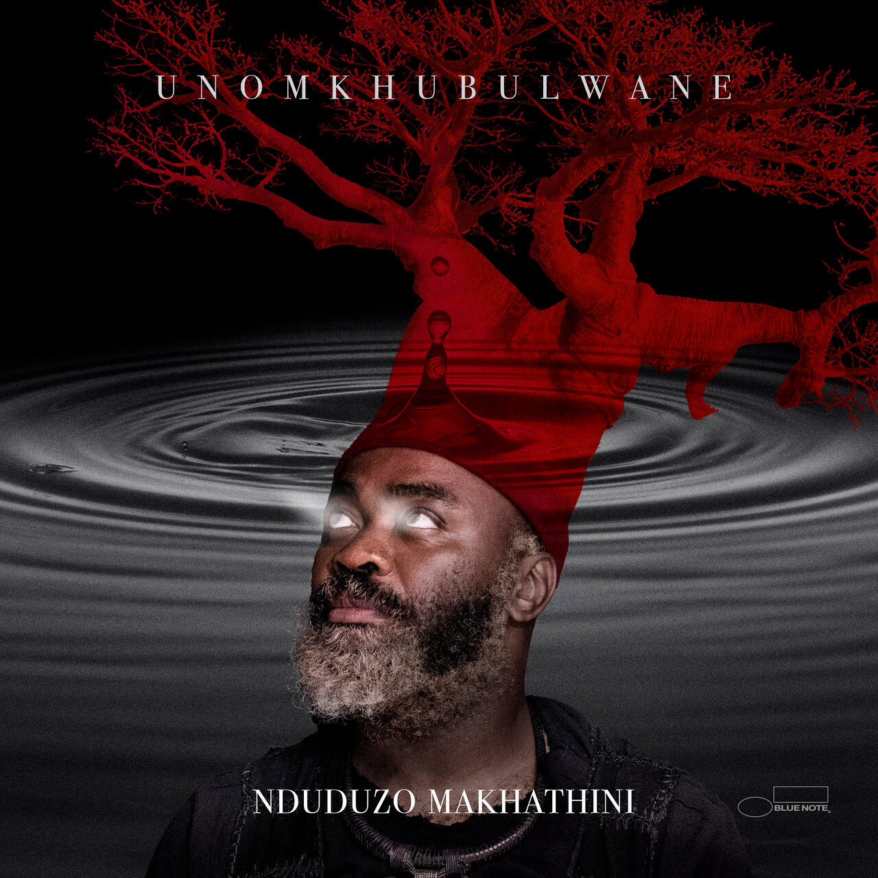 uNomkhubulwane: Vinyl 2LP