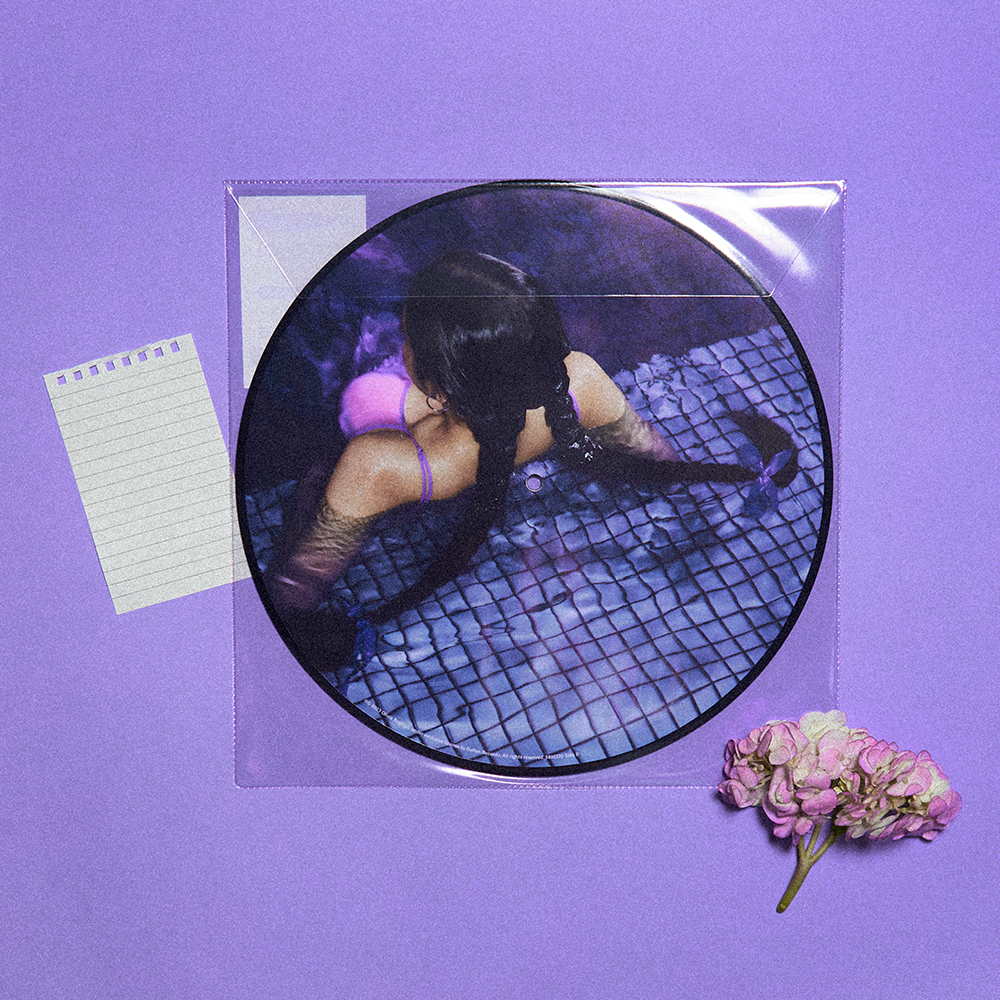 GUTS: Limited Picture Disc Vinyl LP