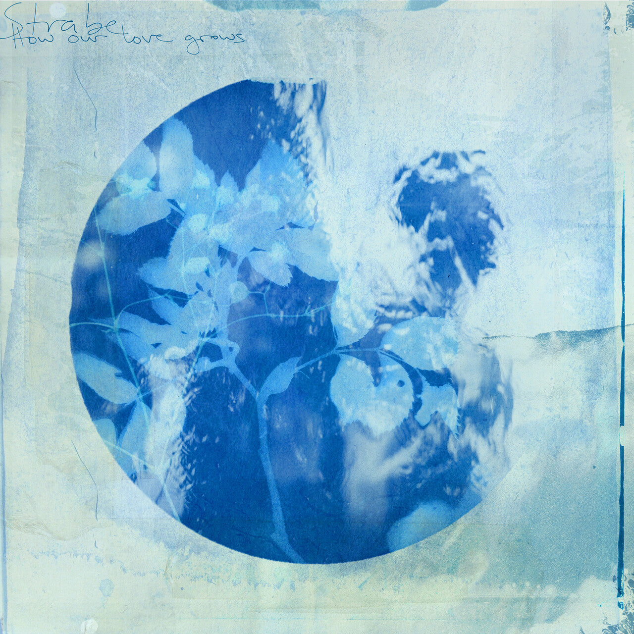 How Our Love Grows: CD