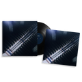 Late Reflections: Vinyl LP + Signed Print