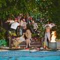 Who Let The Dogs Out: CD