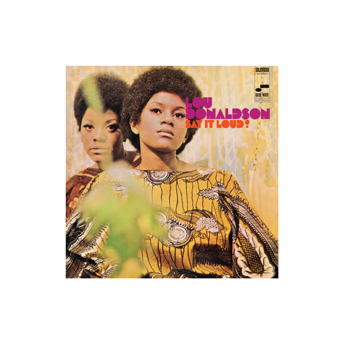 Say It Loud!: Vinyl LP