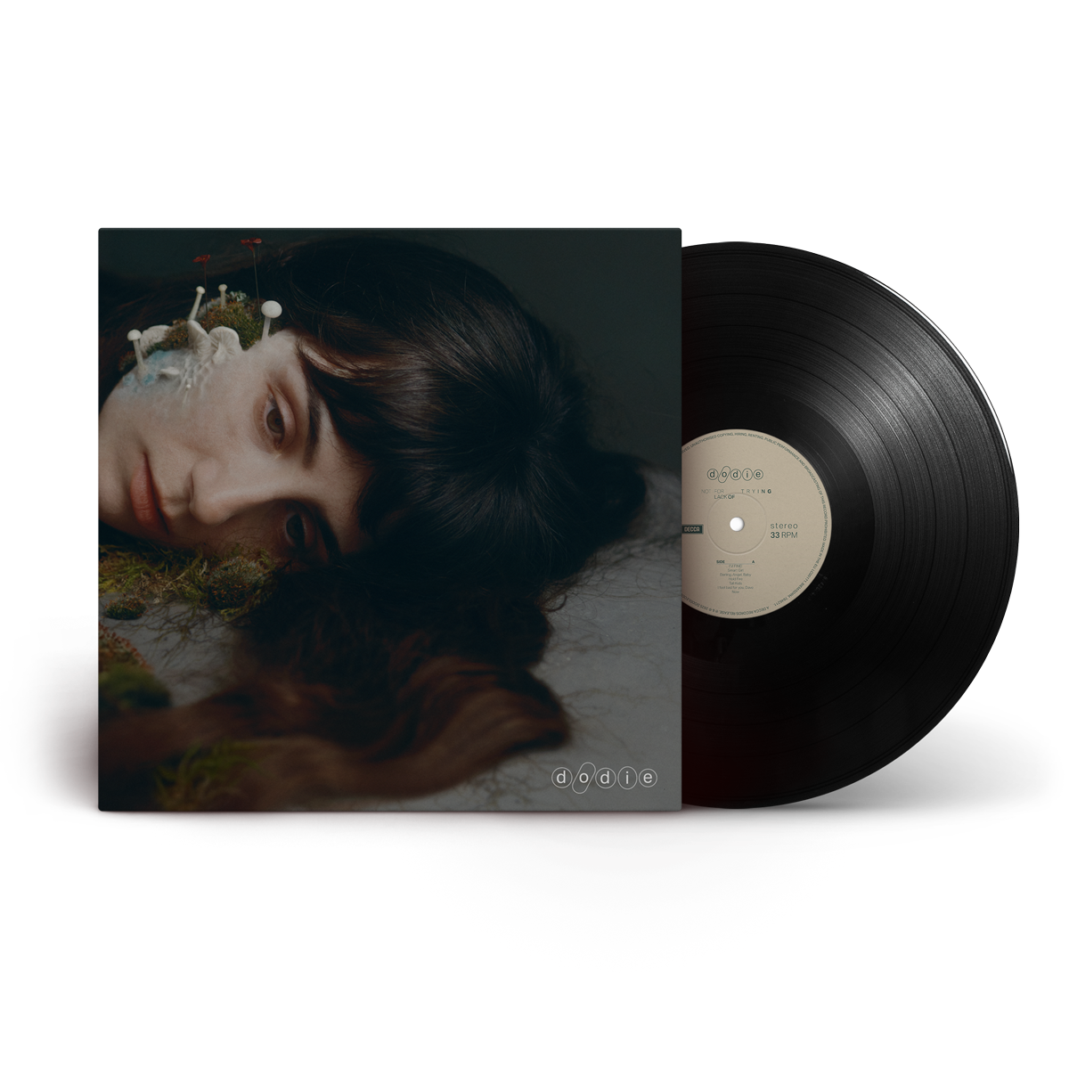 Not For Lack Of Trying Vinyl LP