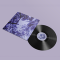 Harp, Beats & Dreams: Vinyl LP