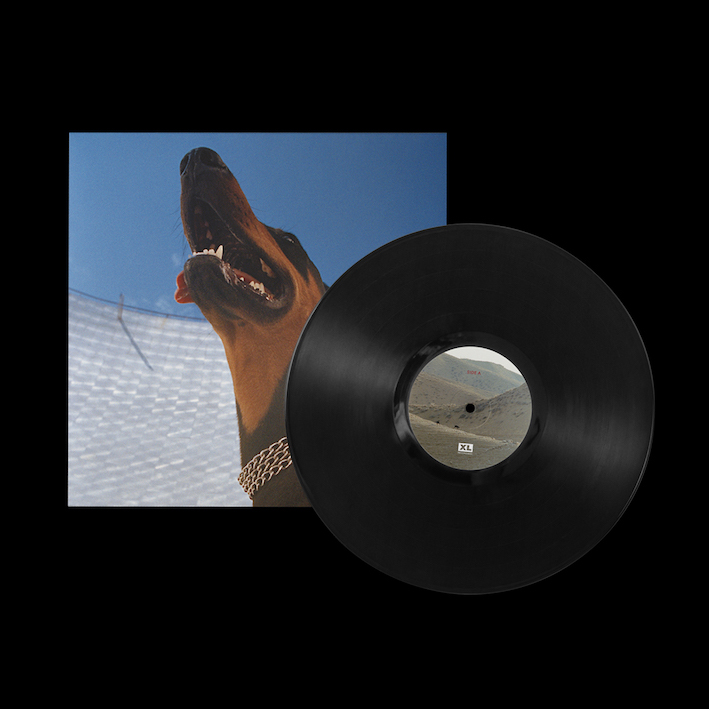 Good Lies: Vinyl LP.