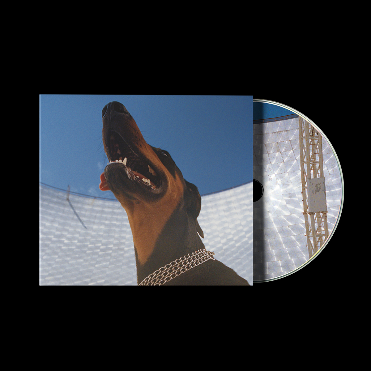 Good Lies: CD