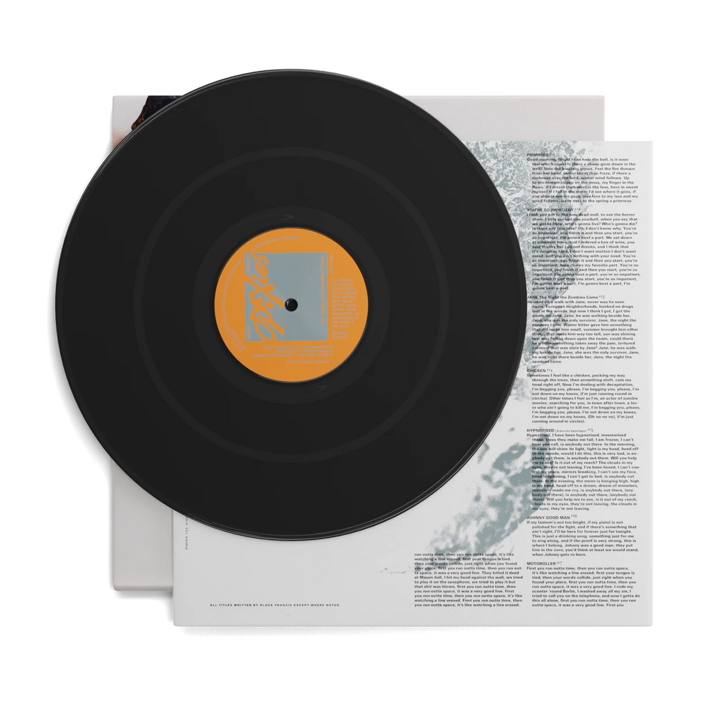 The Night the Zombies Came: VInyl LP