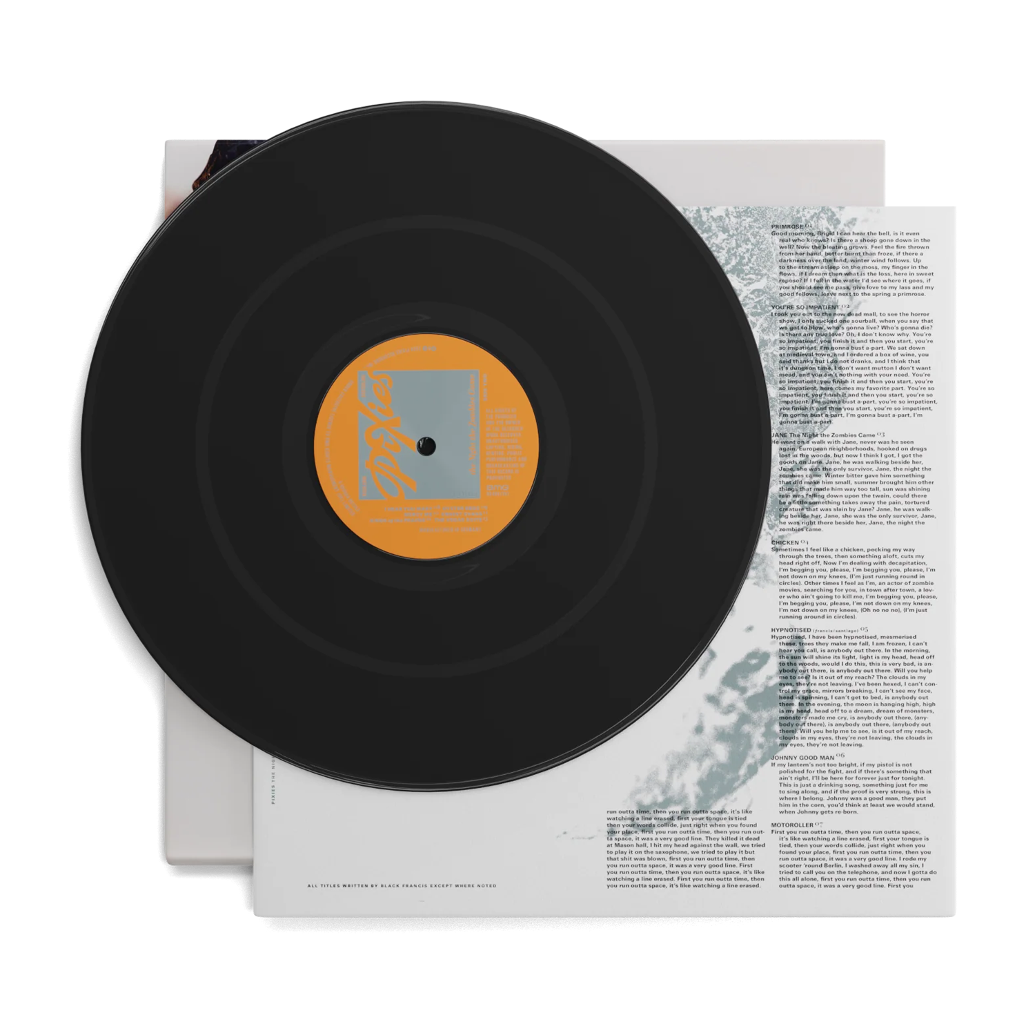 The Night the Zombies Came: VInyl LP