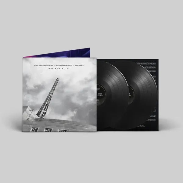 This New Noise: Vinyl 2LP + Signed Print