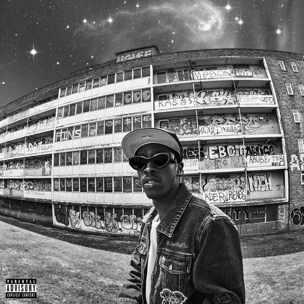 Rise Above Hate: Vinyl LP