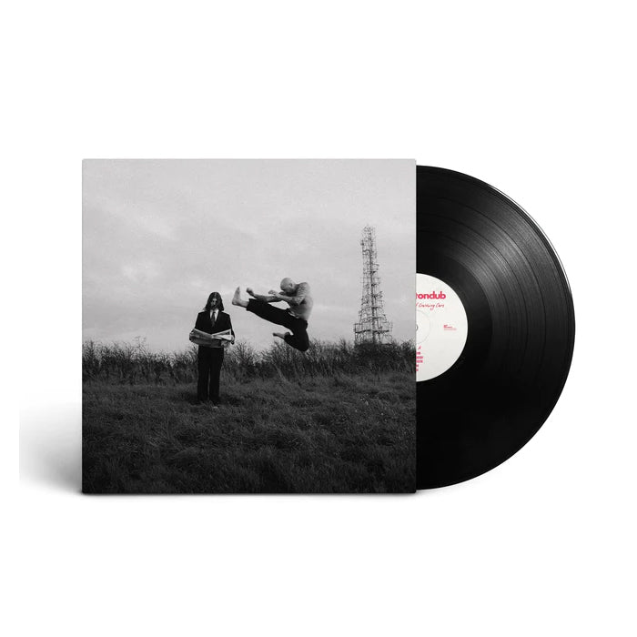 Shaking Hips and Crashing Cars: Vinyl LP