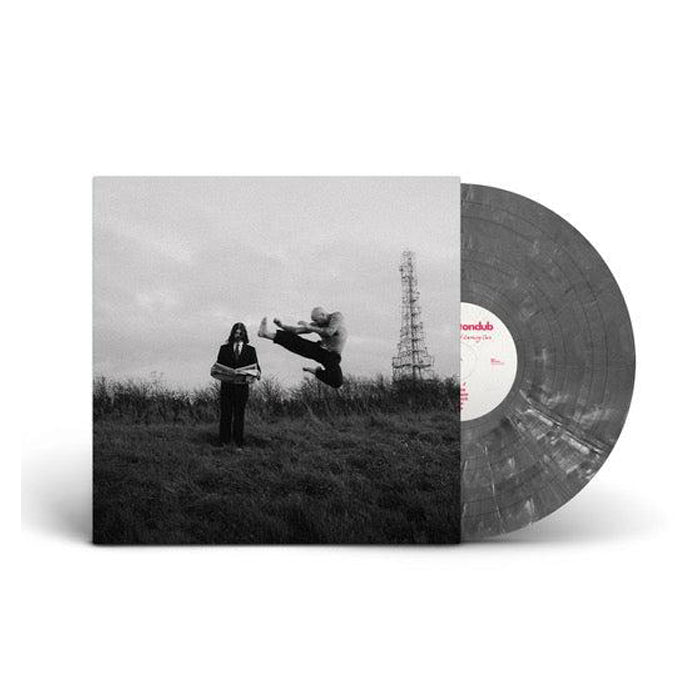 Shaking Hips and Crashing Cars: Limited Grey Marble Vinyl LP