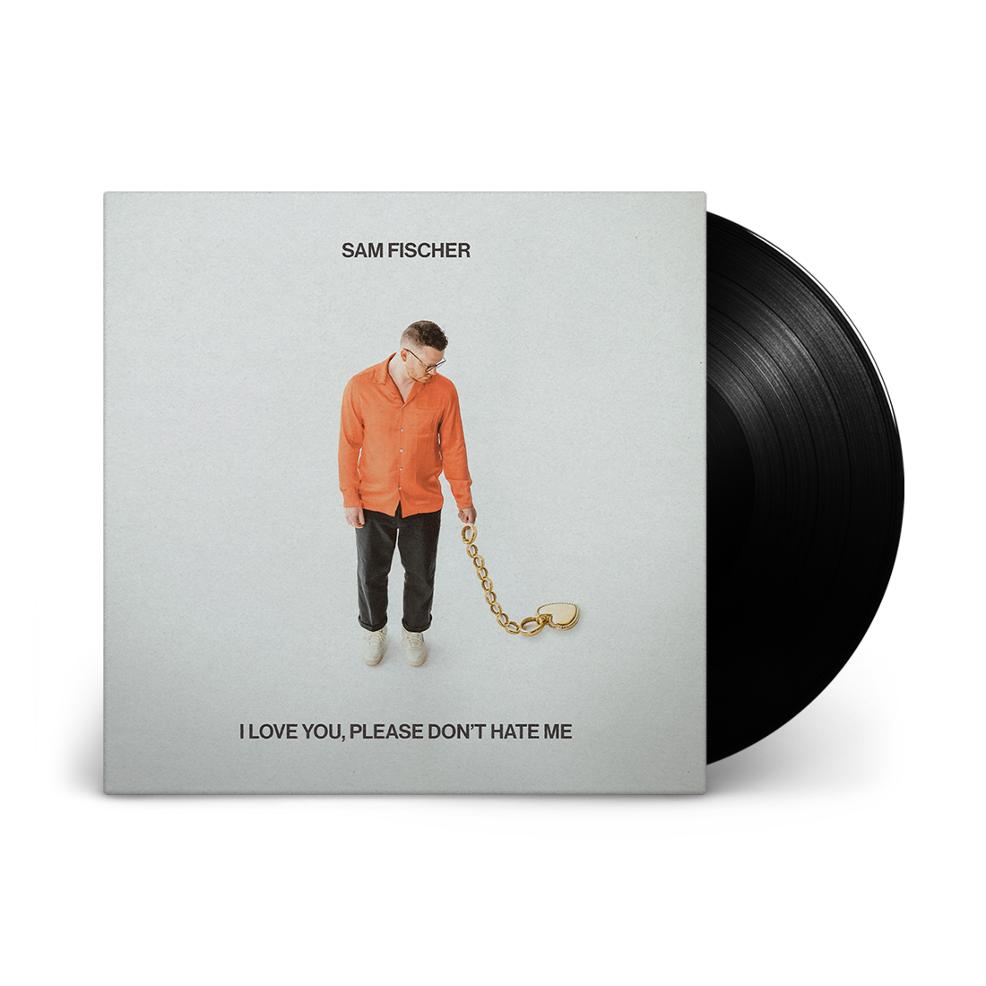 I Love You, Please Don't Hate Me: Vinyl LP