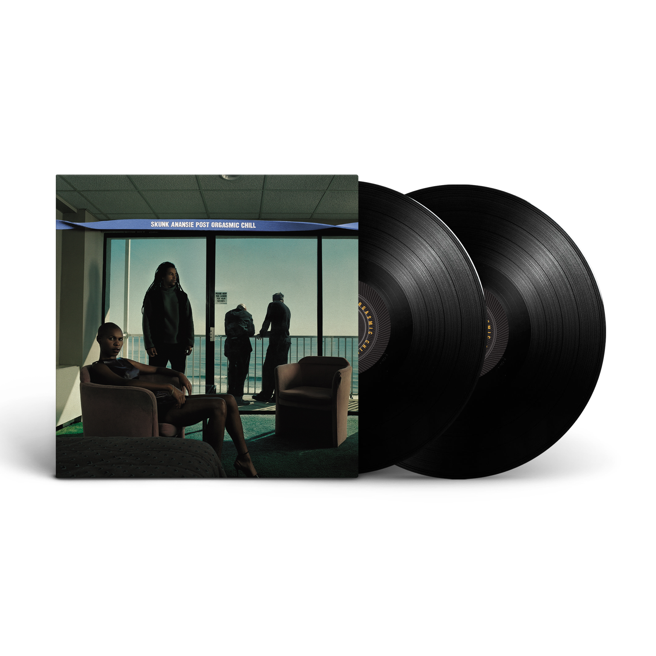 Post Orgasmic Chill (25th Anniversary Expanded Edition): Vinyl 2LP
