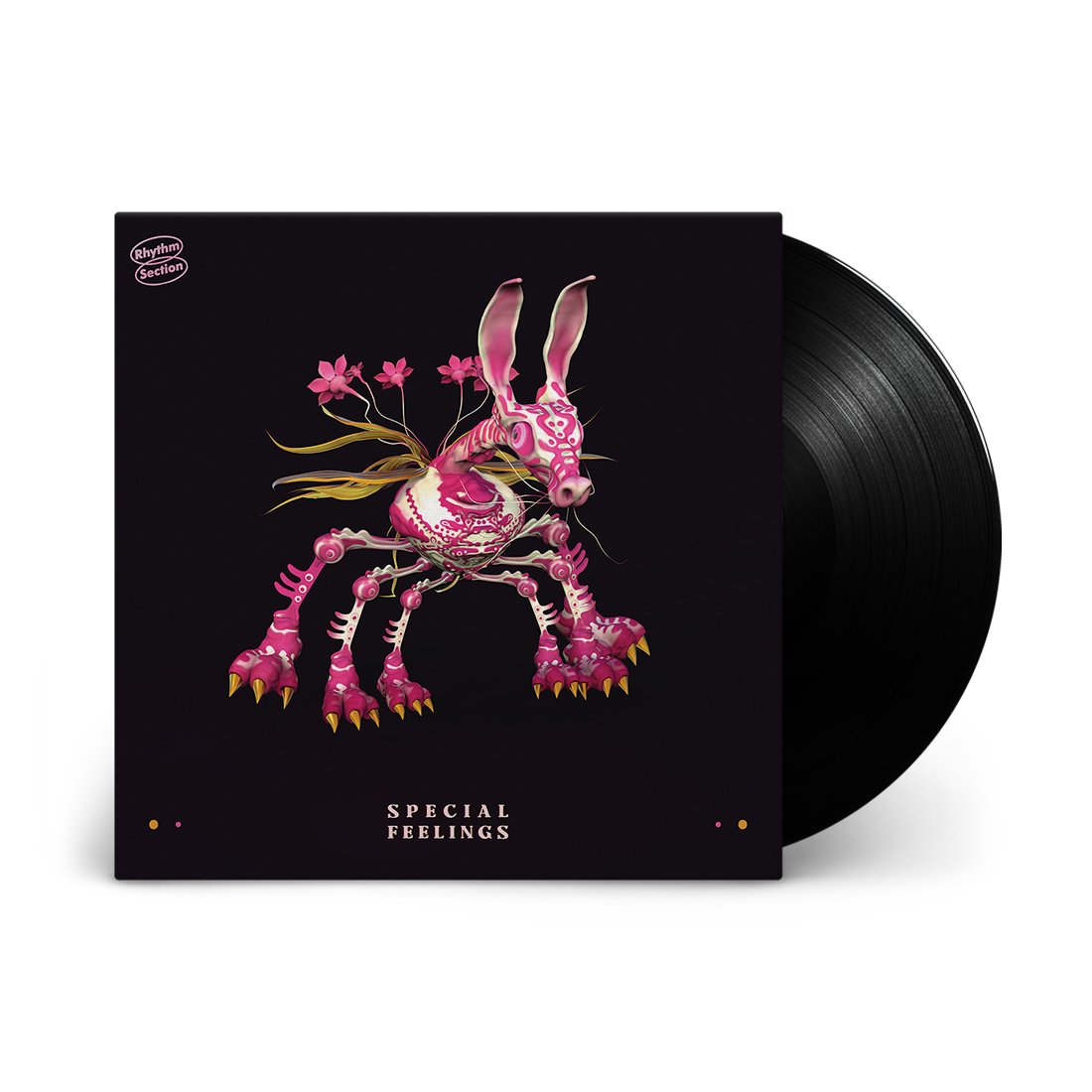 Special Feelings: Vinyl LP