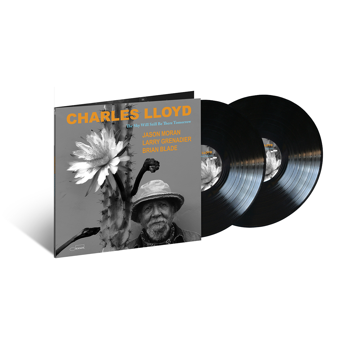 The Sky Will Still Be There Tomorrow: Vinyl 2LP