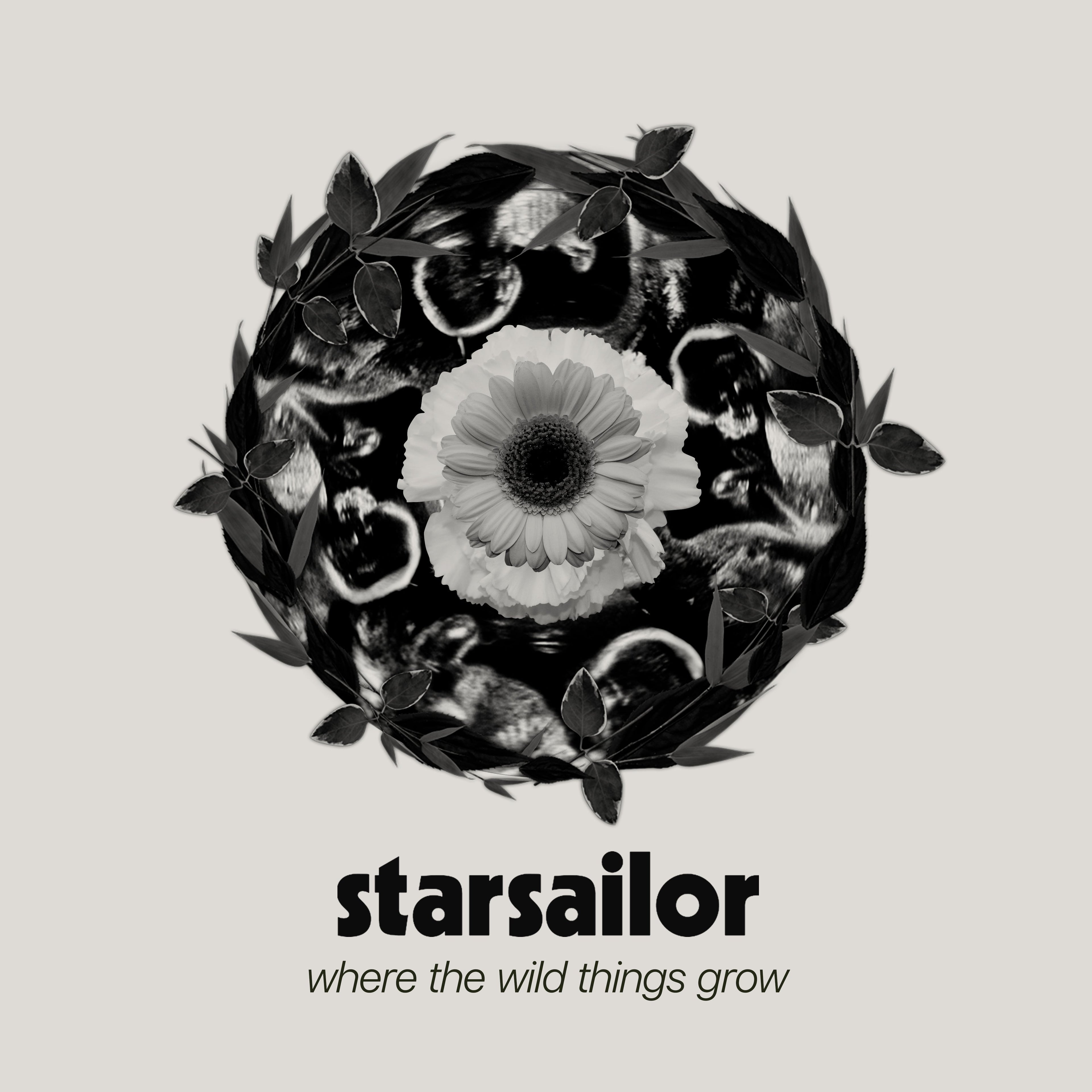 Where The Wild Things Grow: CD