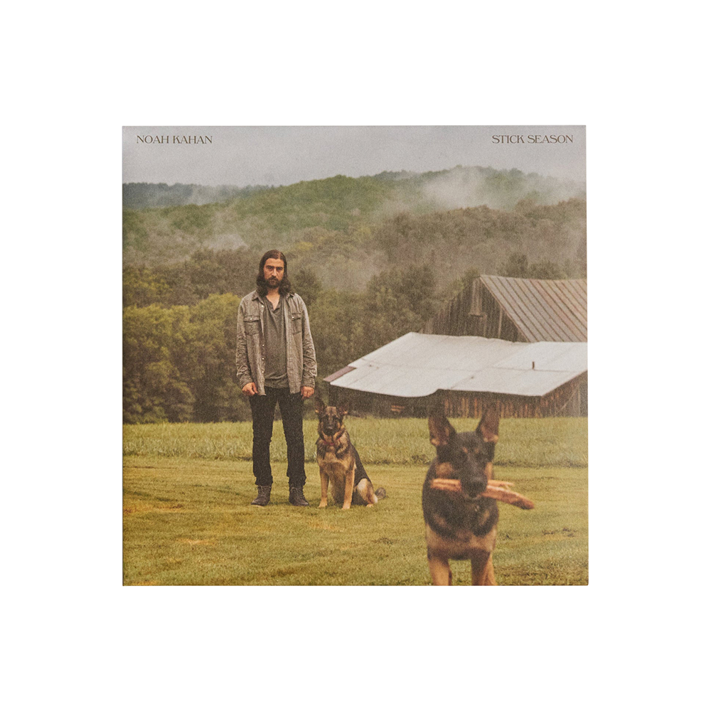Stick Season: Vinyl 2LP