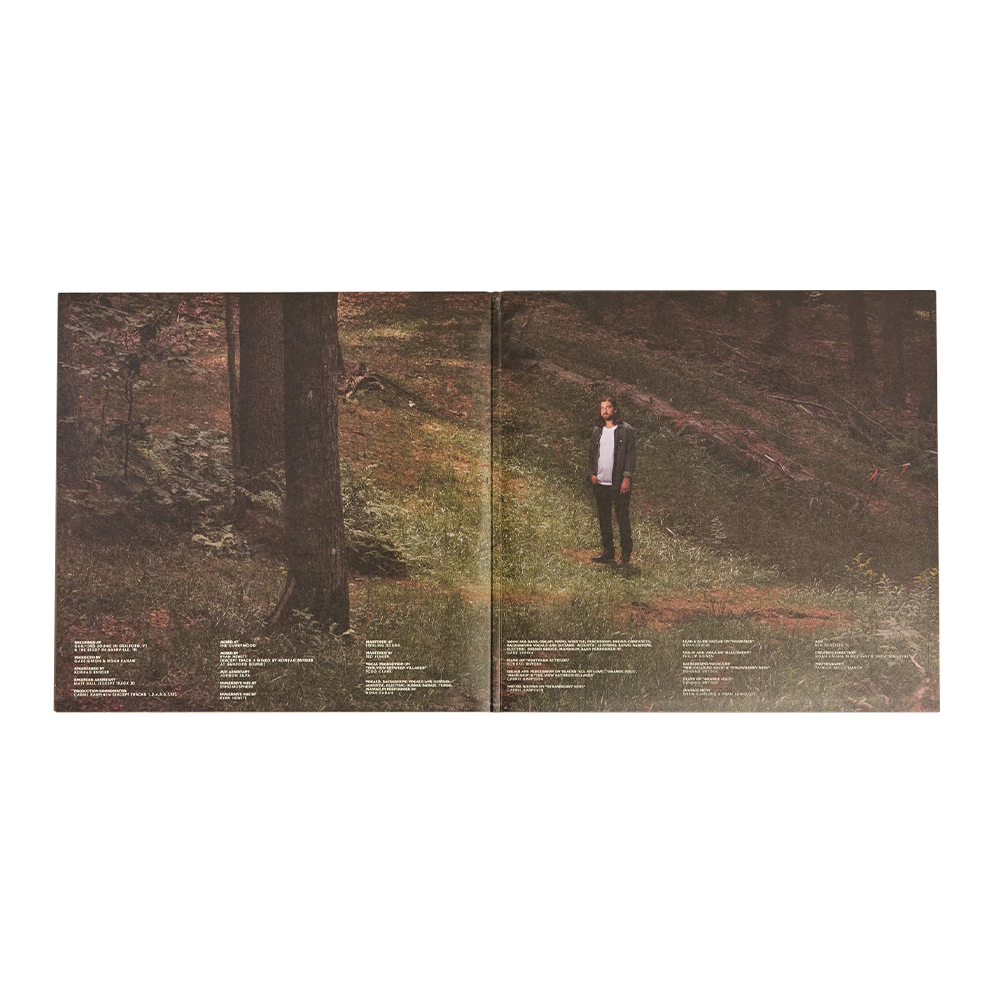 Stick Season: Vinyl 2LP