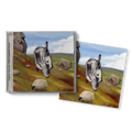 This Could be Texas: CD + Exclusive Signed Art Card