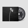 Dreamweaver: CD