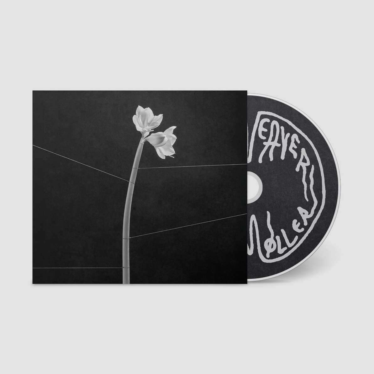 Dreamweaver: CD