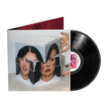 The Art of Being A Mess LP