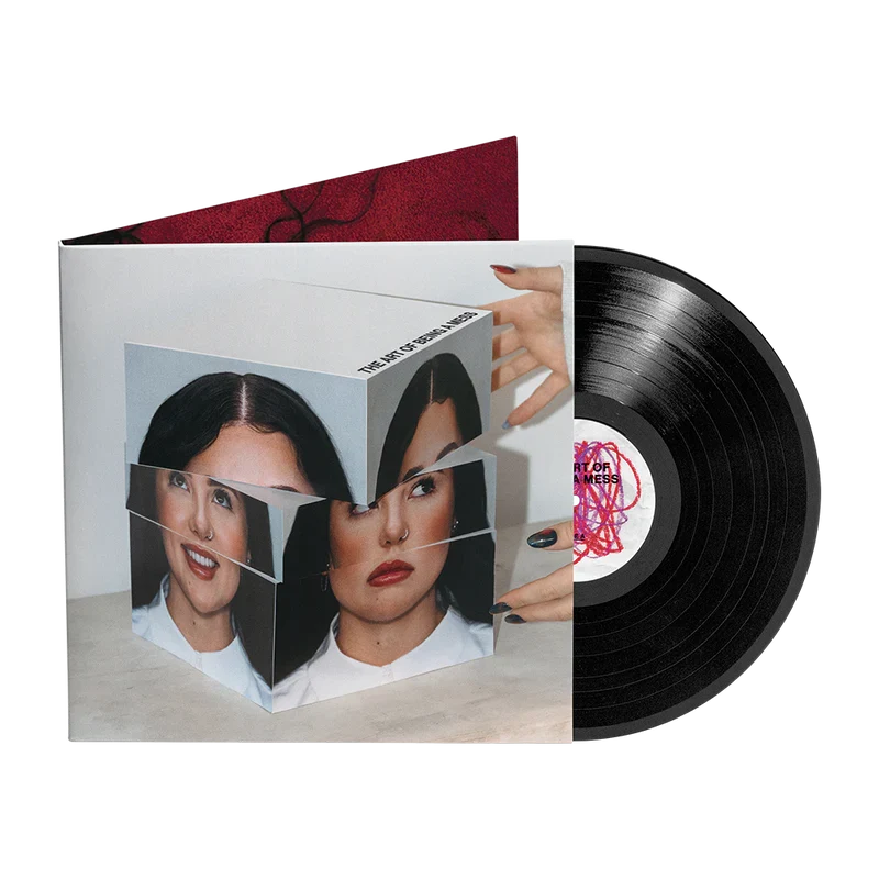 The Art of Being A Mess LP