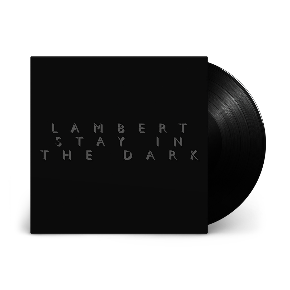 Stay In The Dark: Vinyl LP